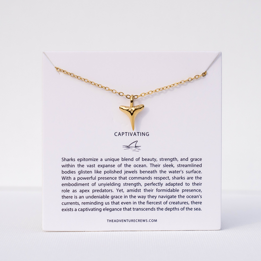 Captivating: Shark Tooth Necklace