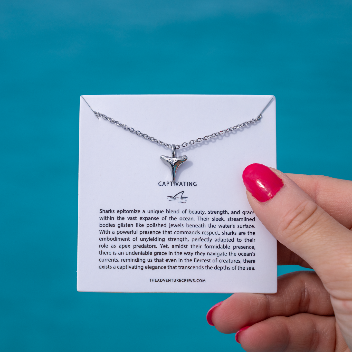 Captivating: Shark Tooth Necklace