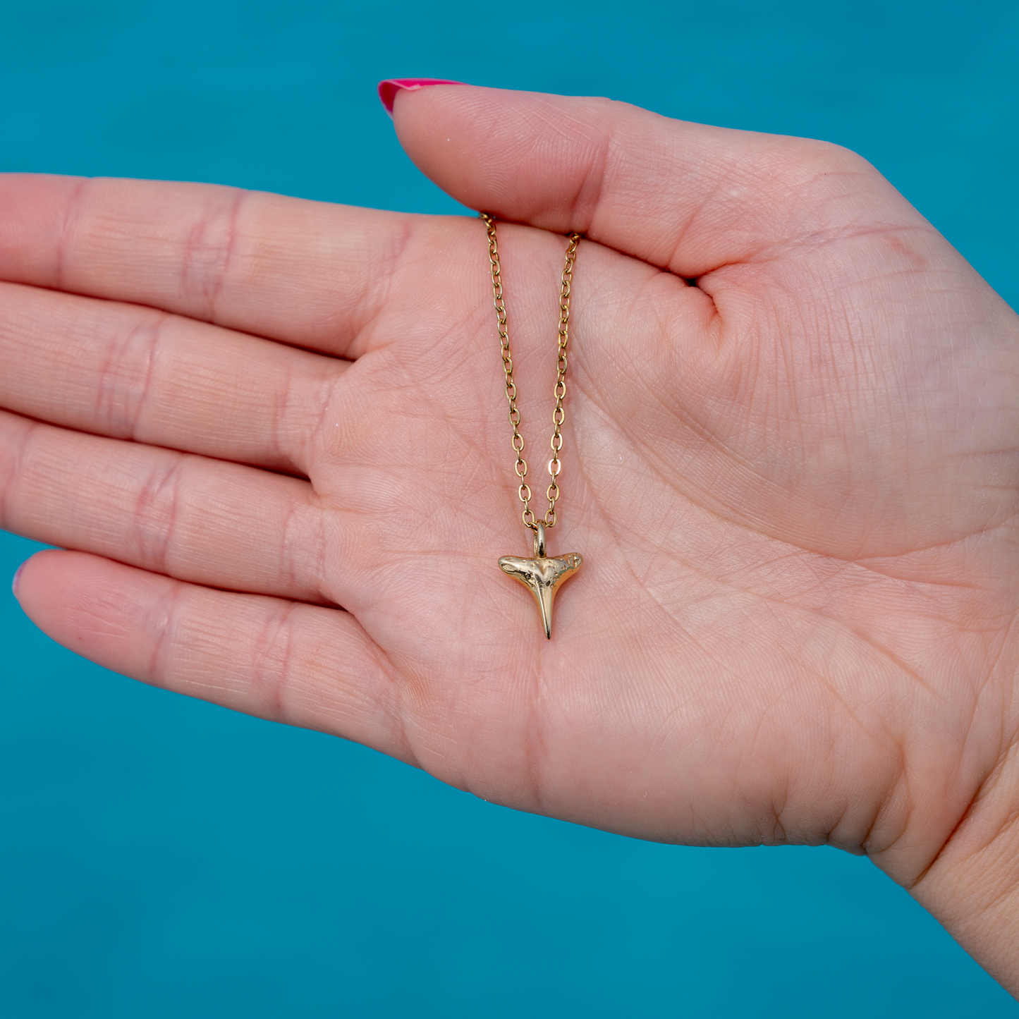 Captivating: Shark Tooth Necklace
